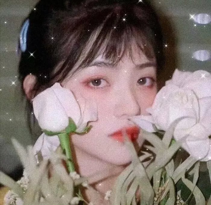 群芳谱